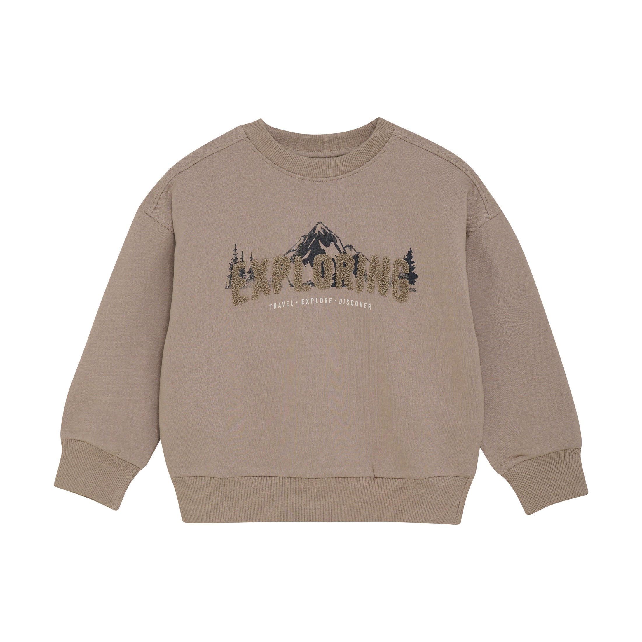 Peysa Sweatshirt - Fungi