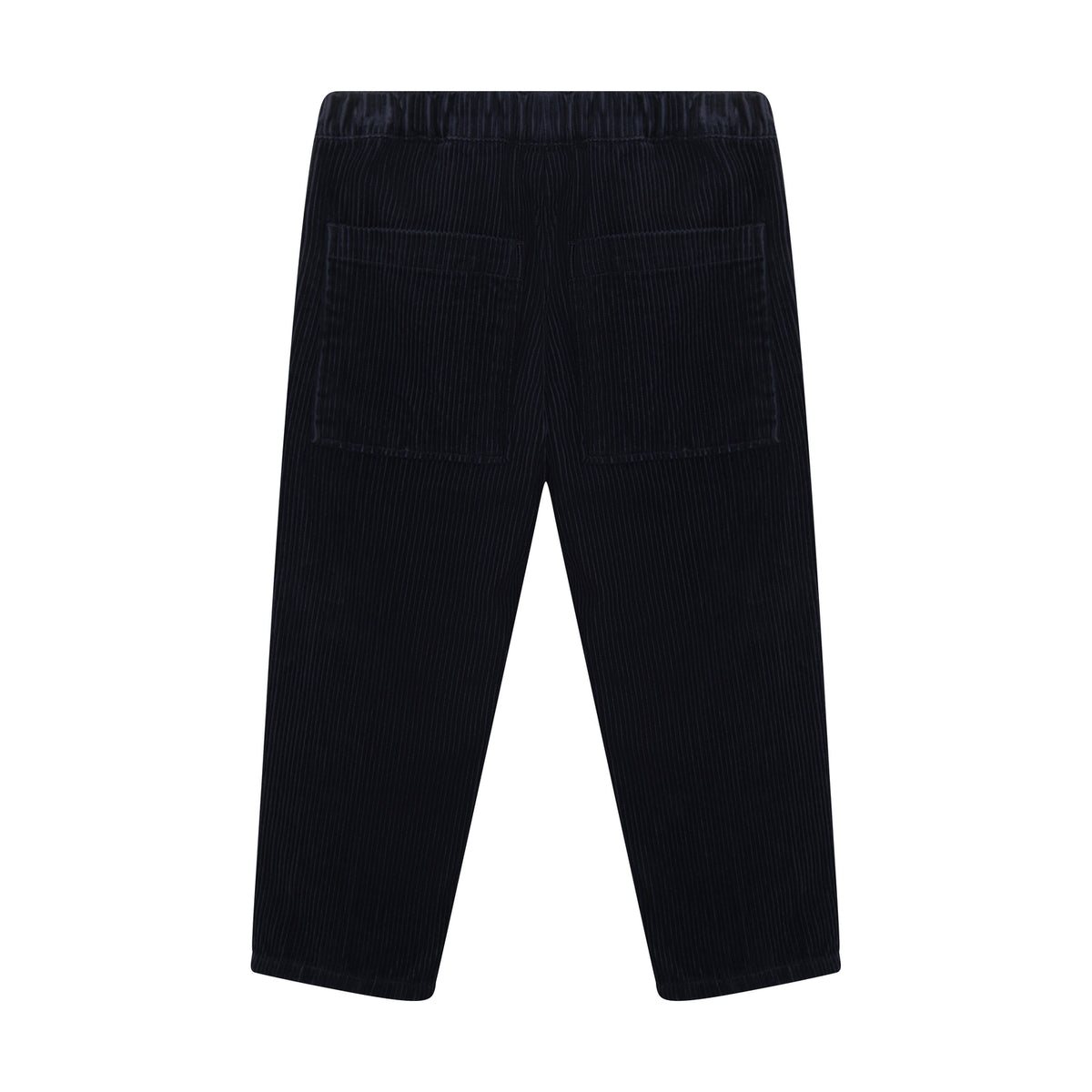 Buxur Corduroy - Parisian Night