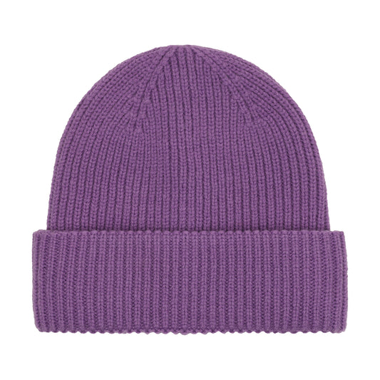 Húfa / Beanie - Bellflower