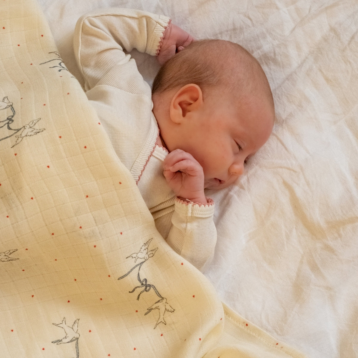 Stór taubleyja (swaddle) - Sweet serenity