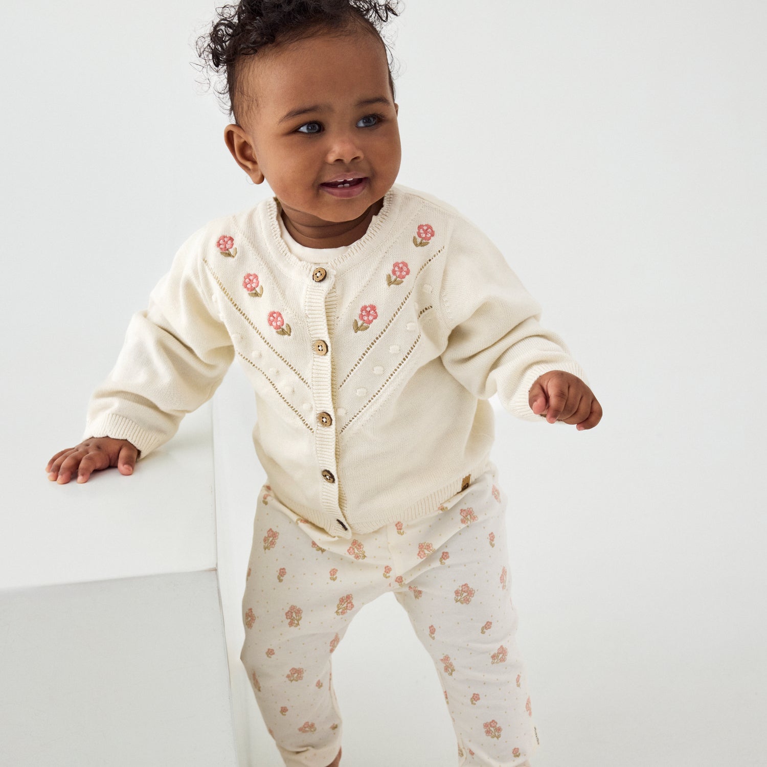 Buxur m/blómum - Vanilla Ice