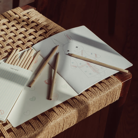 Litabók og litir - Bunny