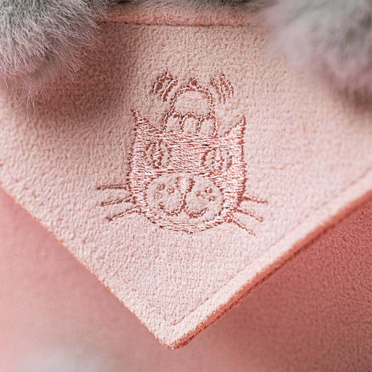 Koala með skilaboðaumslagi