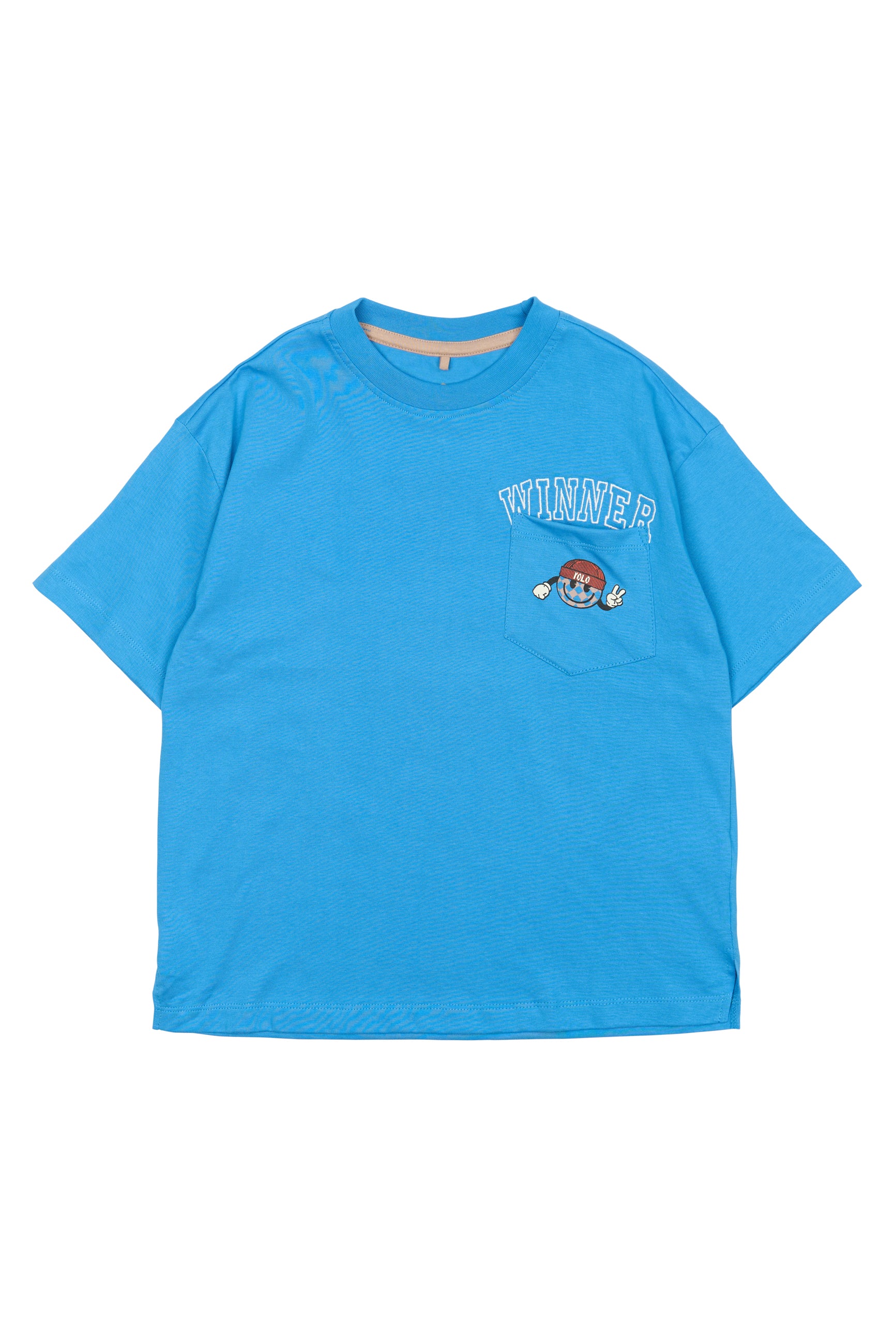 Bolur Pauli - Campanula