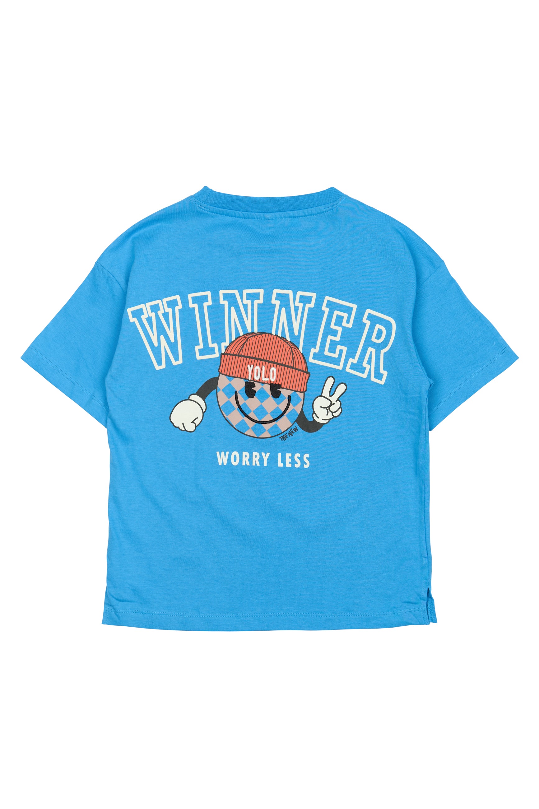 Bolur Pauli - Campanula