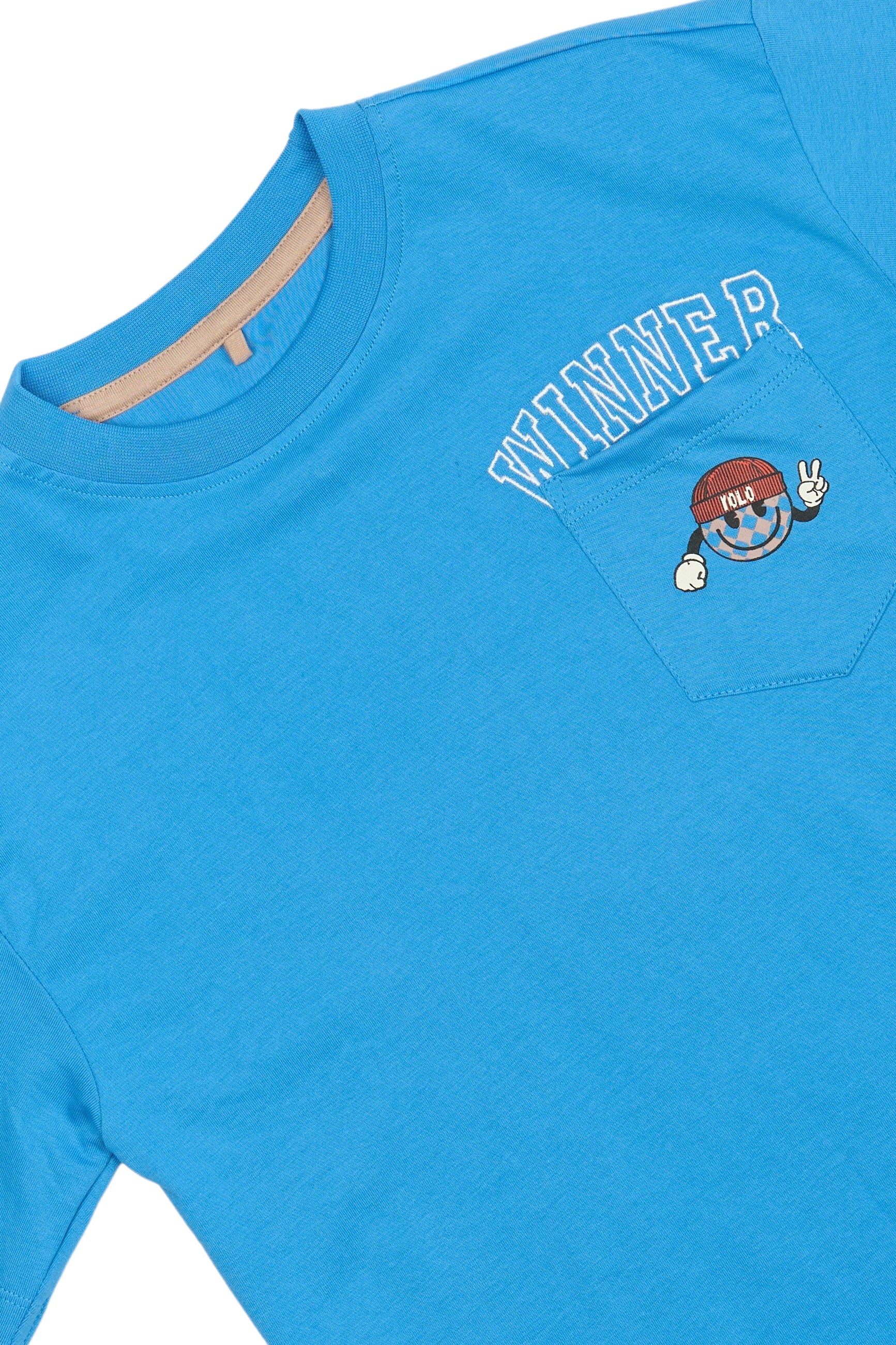 Bolur Pauli - Campanula