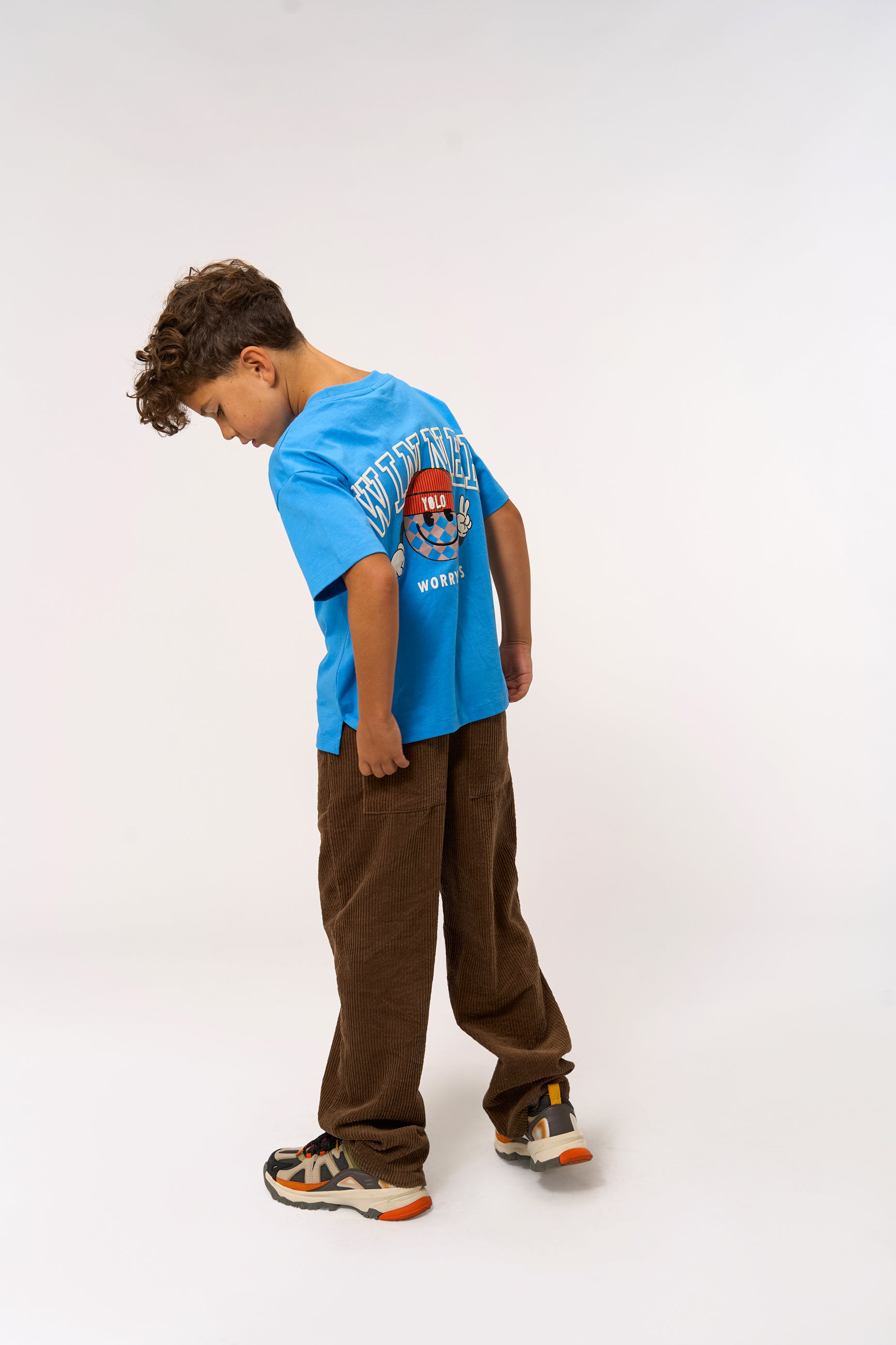 Bolur Pauli - Campanula