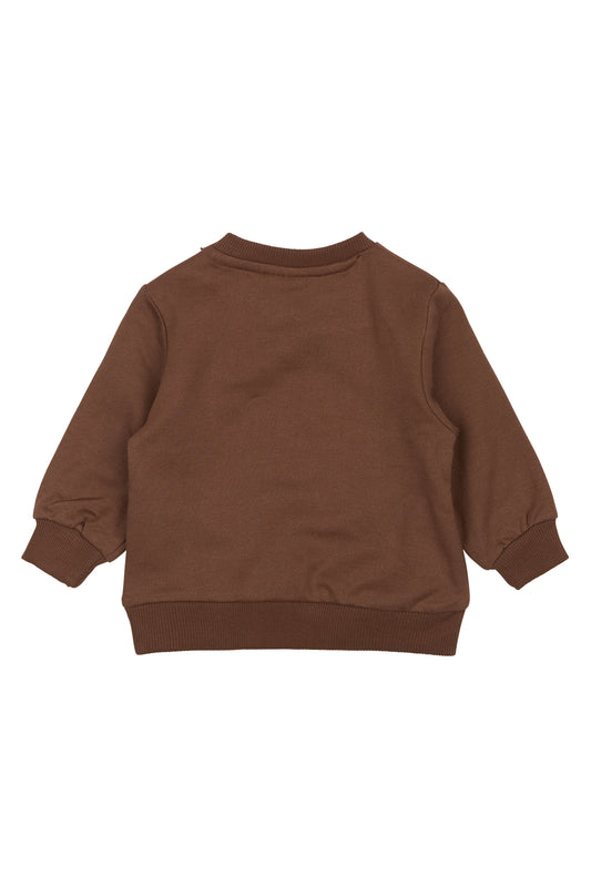 Peysa Perseus - Pinecone