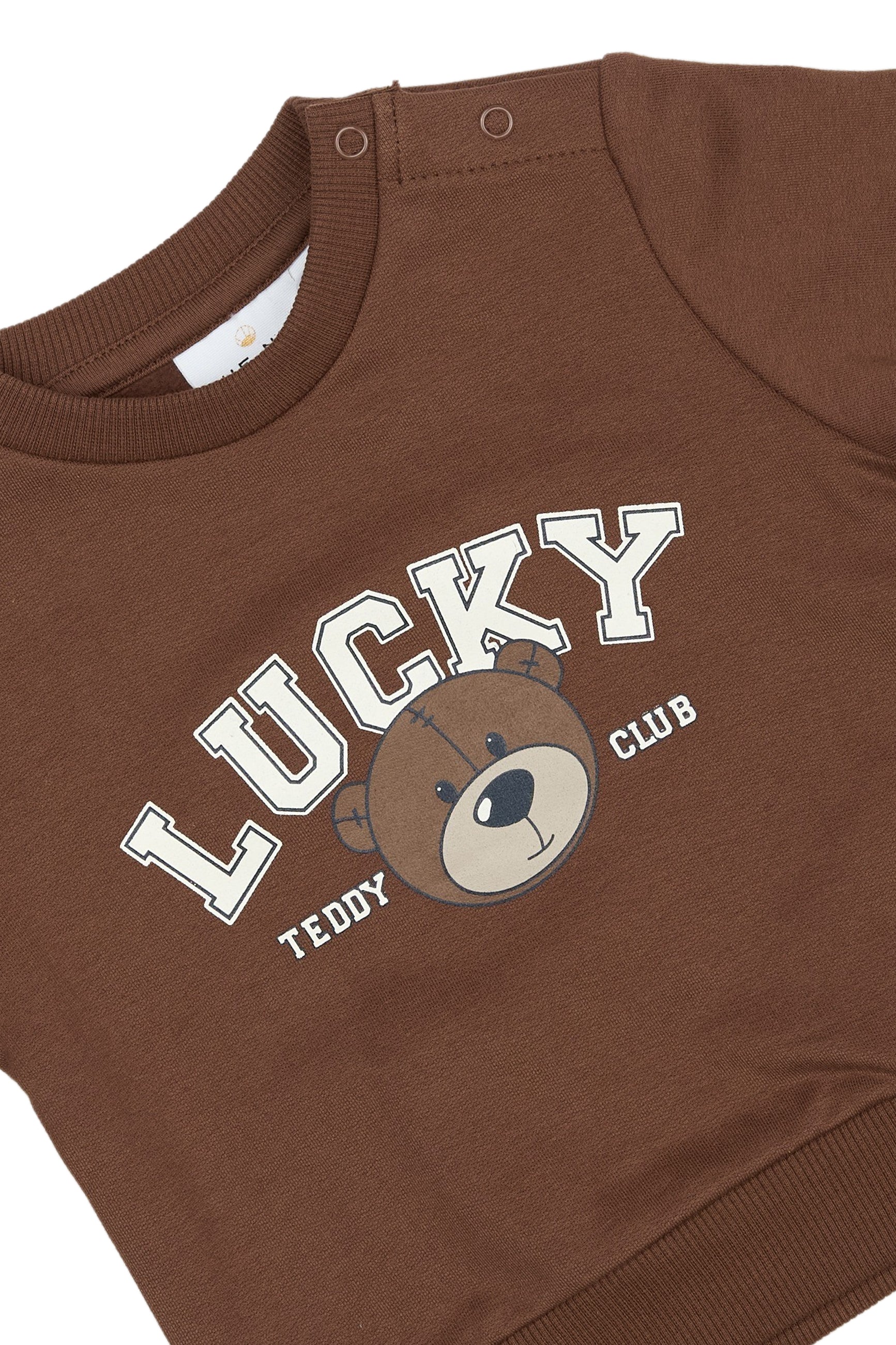 Peysa Perseus - Pinecone