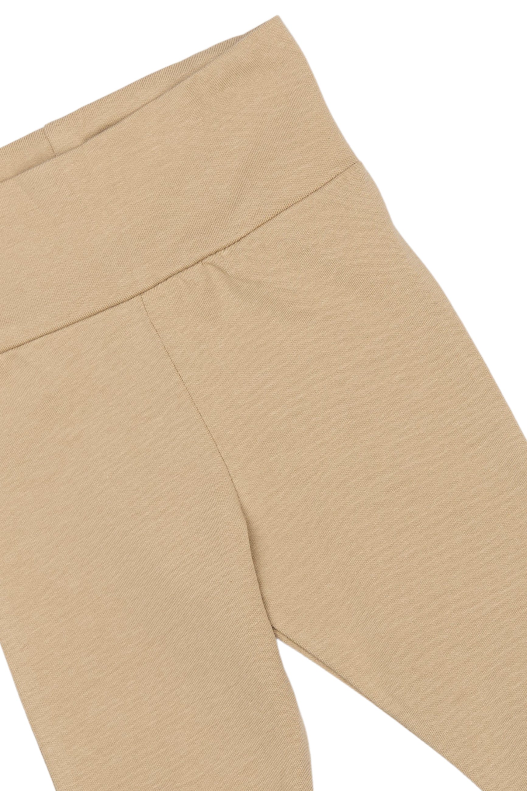 Buxur Phoenix - Humus