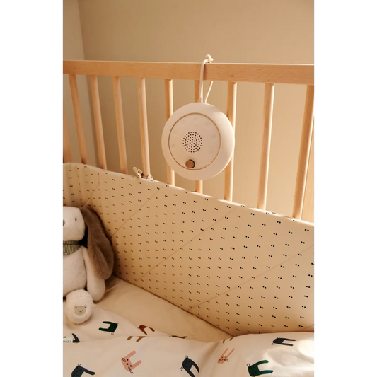 Sound Machine, Jordi - Sandy