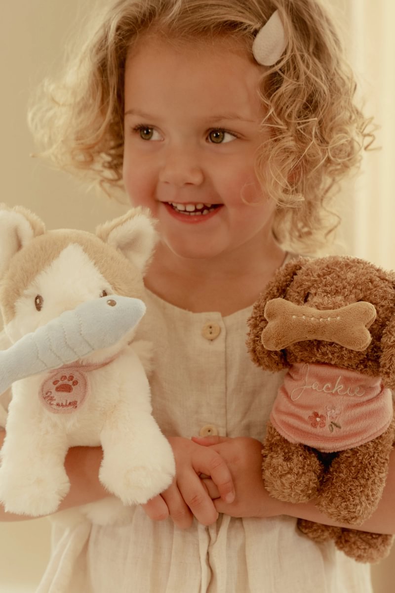 Hundur í burðarrúmi