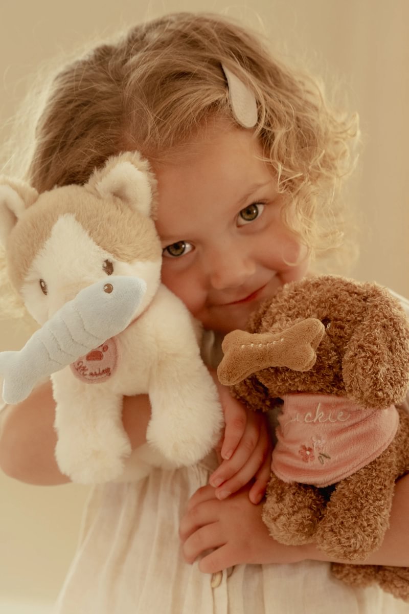 Hundur í burðarrúmi