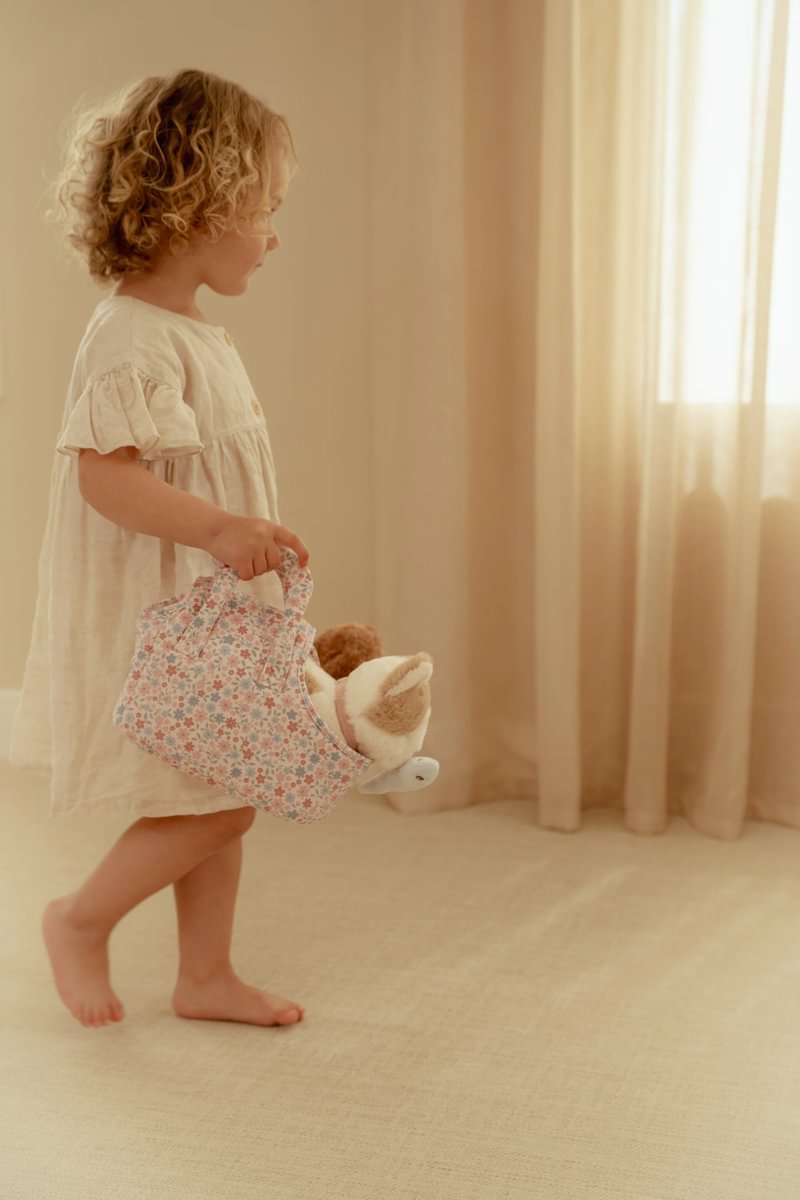 Kisa í burðarrúmi