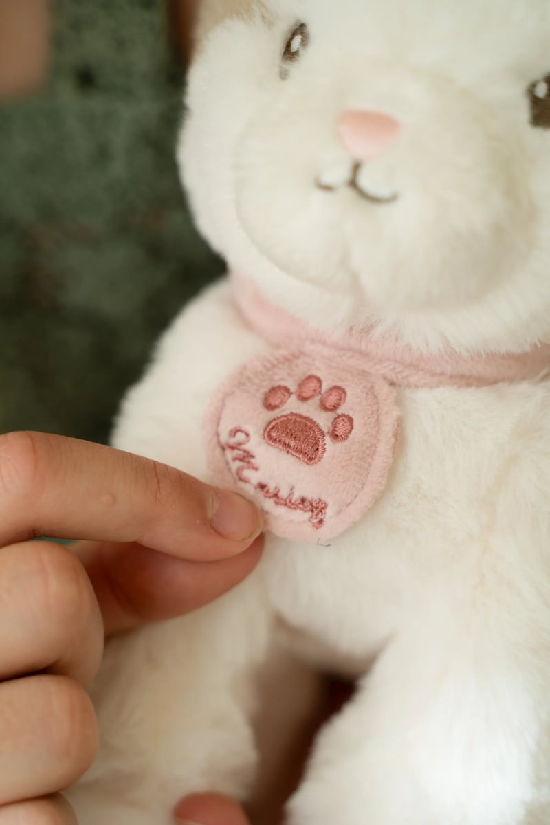 Kisa í burðarrúmi