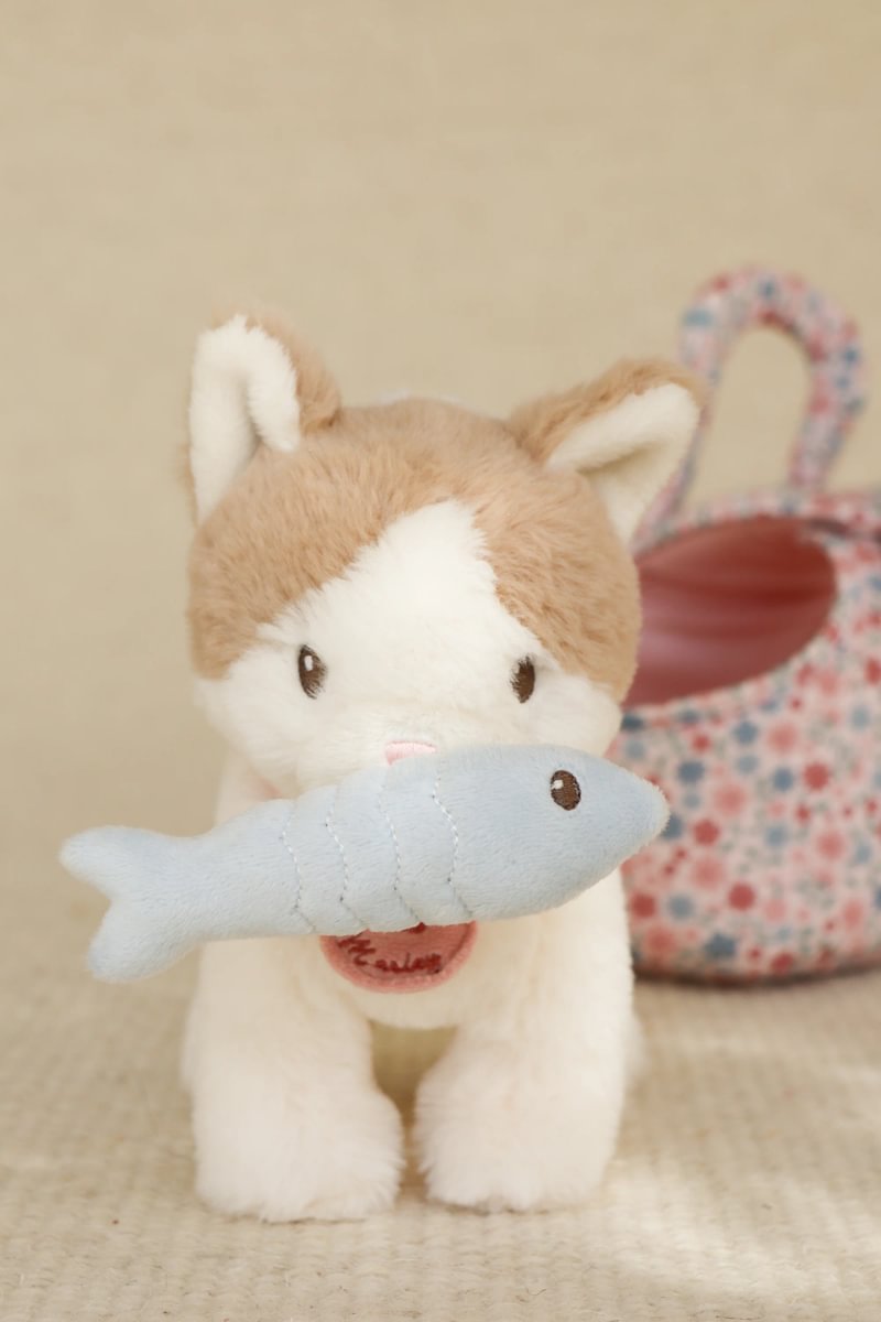 Kisa í burðarrúmi