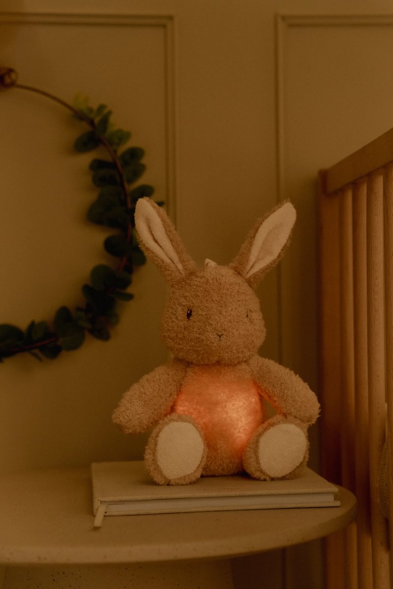 Newborn Naturals - Cuddly Bunny