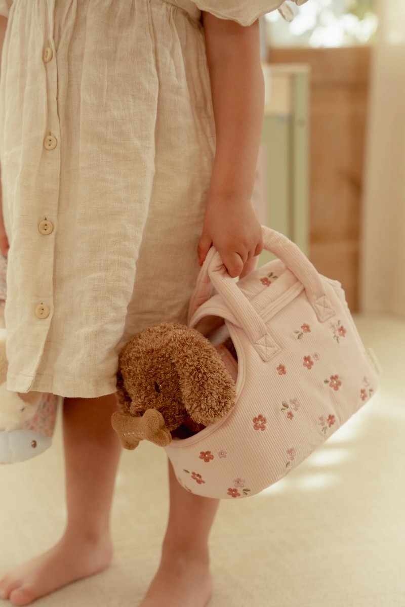 Hundur í burðarrúmi