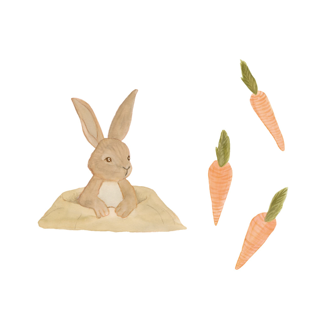 Vegglímmiðar - Bunny and Carrots